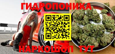 гидропоника Азнакаево