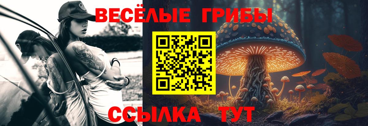 Галлюциногенные грибы MAGIC MUSHROOMS Апатиты