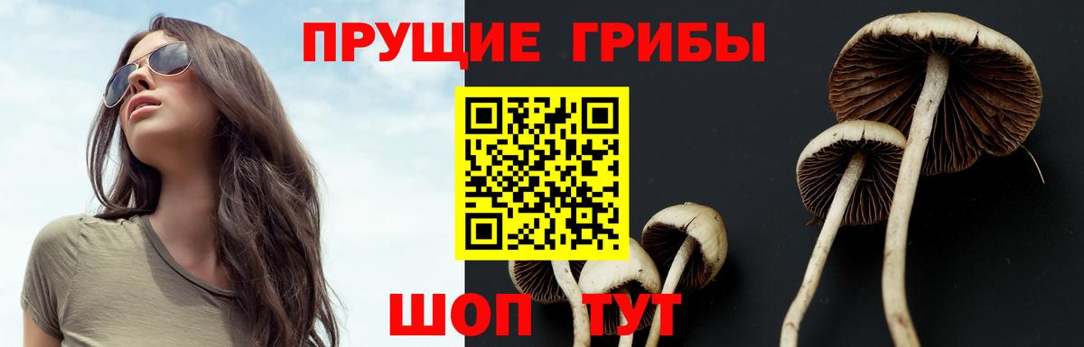 Галлюциногенные грибы мицелий  Вход с VPN  Апатиты 